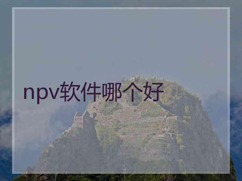 npv软件哪个好