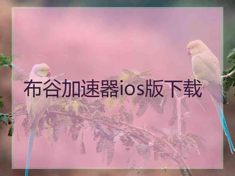 布谷加速器ios版下载