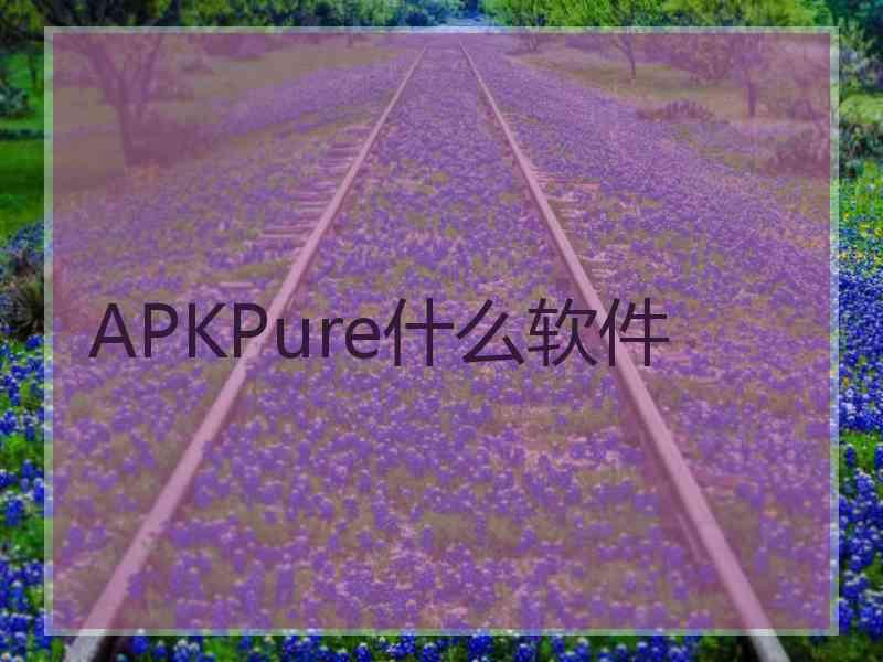 APKPure什么软件