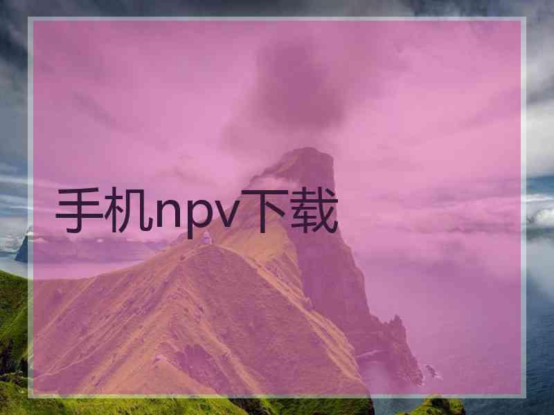 手机npv下载