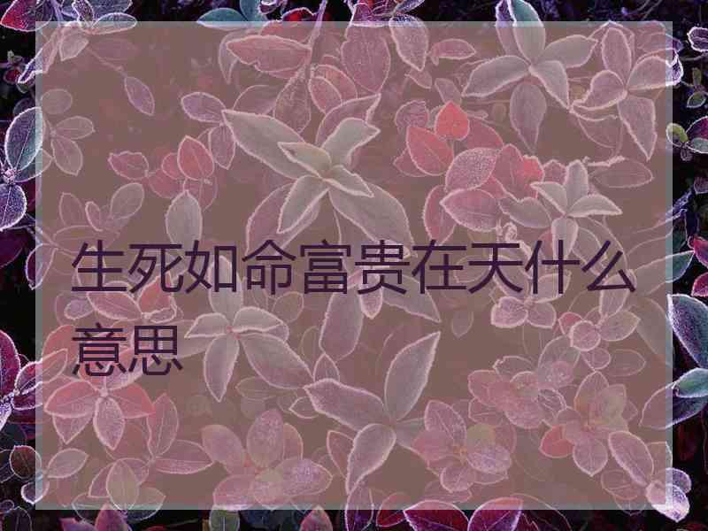 生死如命富贵在天什么意思