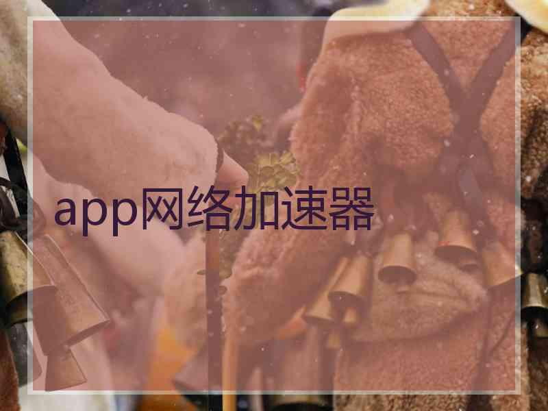 app网络加速器