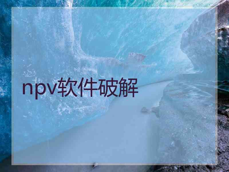 npv软件破解