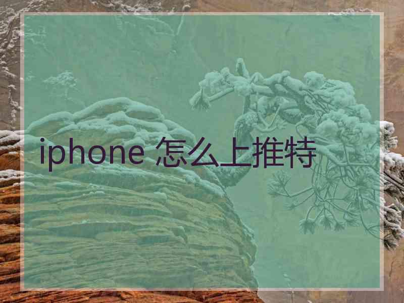 iphone 怎么上推特