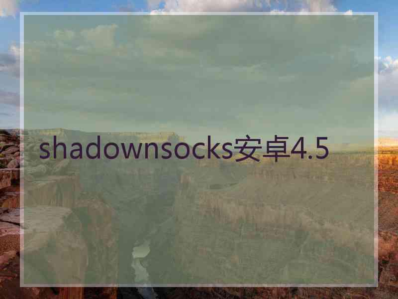 shadownsocks安卓4.5