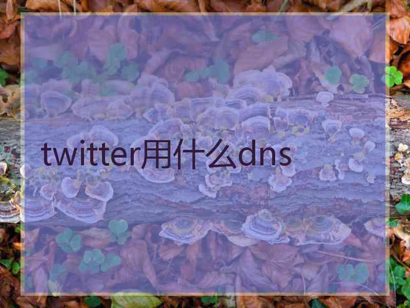 twitter用什么dns