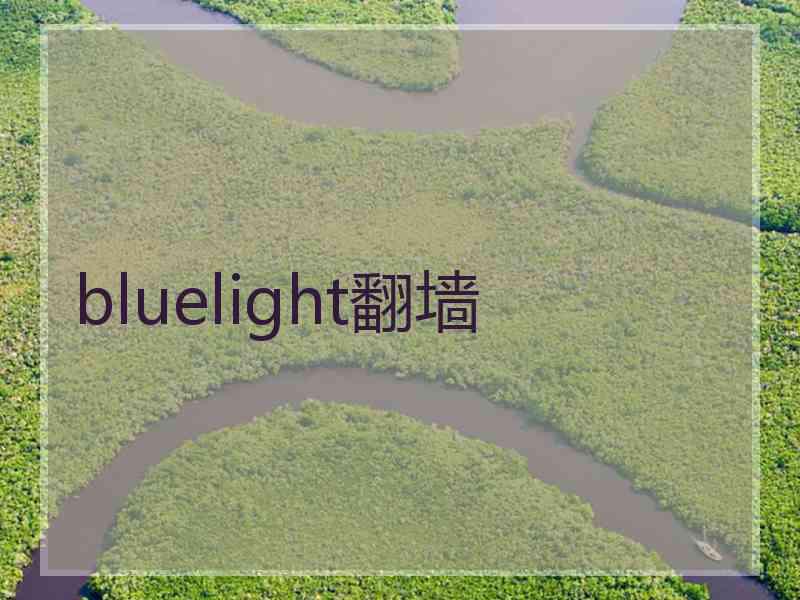 bluelight翻墙