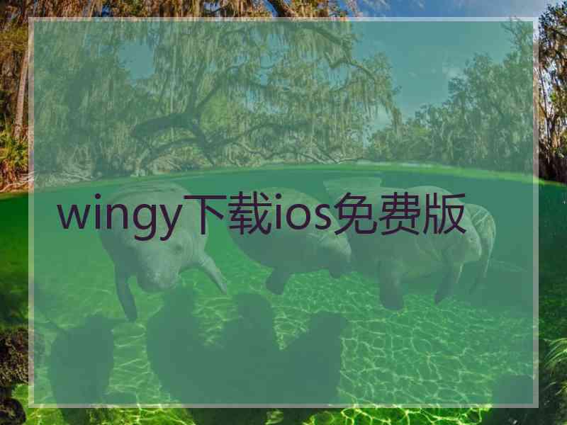 wingy下载ios免费版