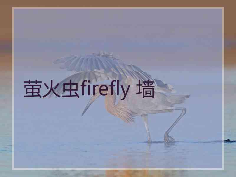 萤火虫firefly 墙