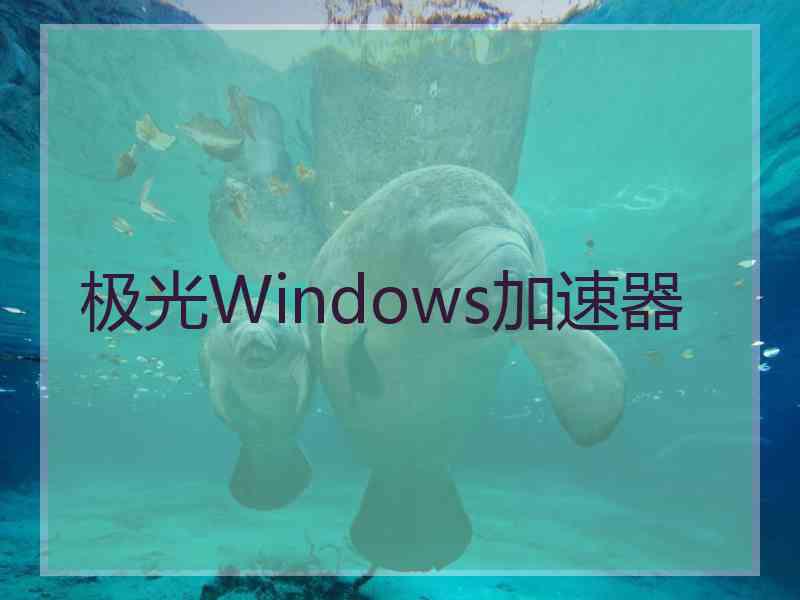 极光Windows加速器