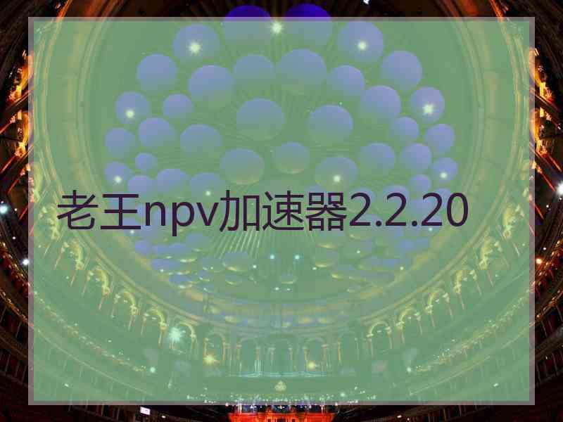 老王npv加速器2.2.20