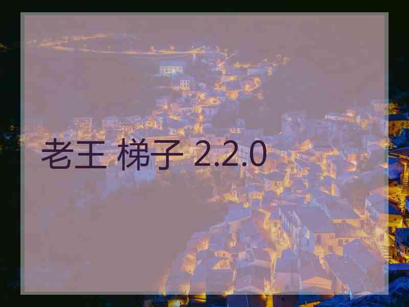 老王 梯子 2.2.0