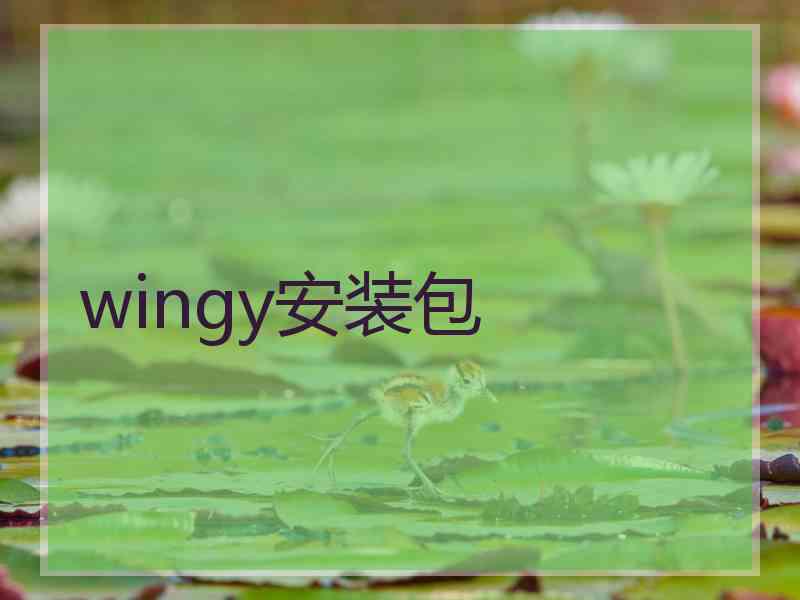 wingy安装包