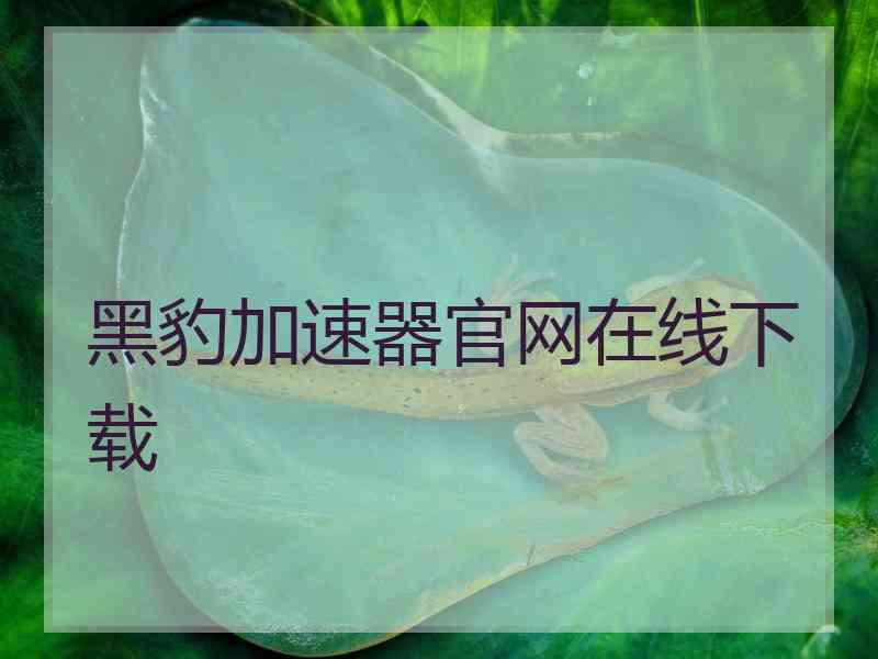 黑豹加速器官网在线下载