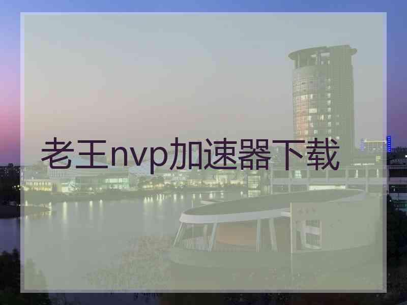 老王nvp加速器下载