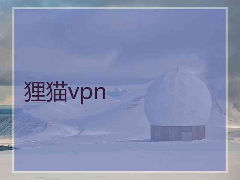 狸猫vpn