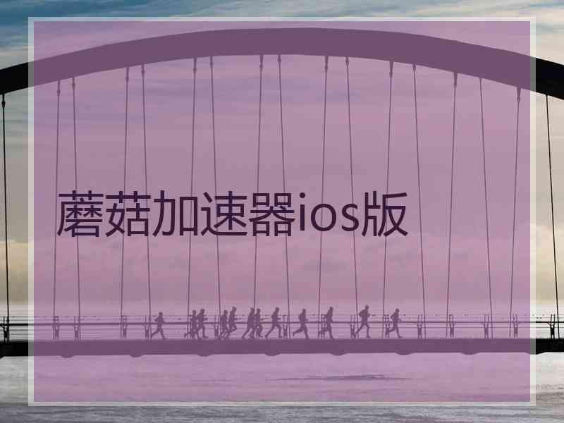 蘑菇加速器ios版