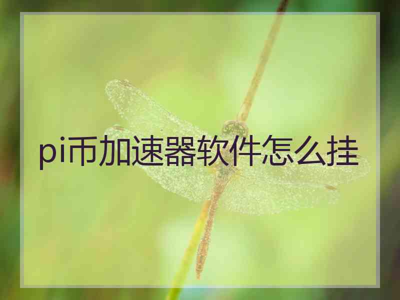 pi币加速器软件怎么挂