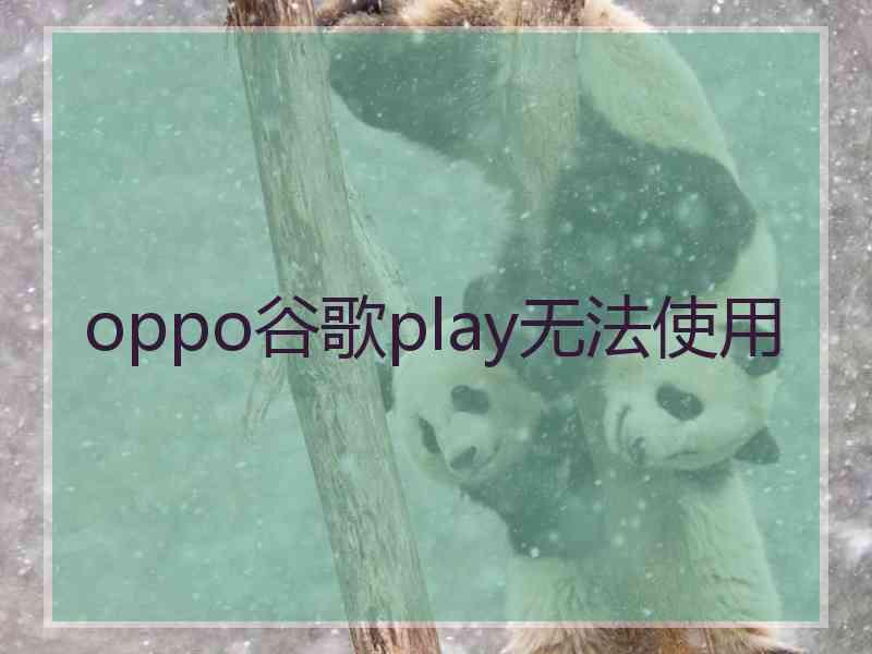 oppo谷歌play无法使用