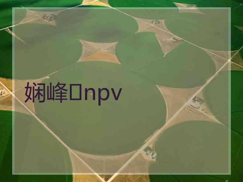 娴峰npv