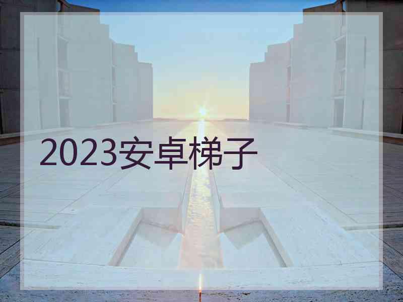 2023安卓梯子