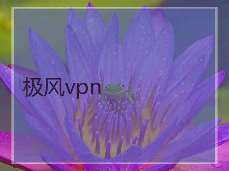 极风vpn