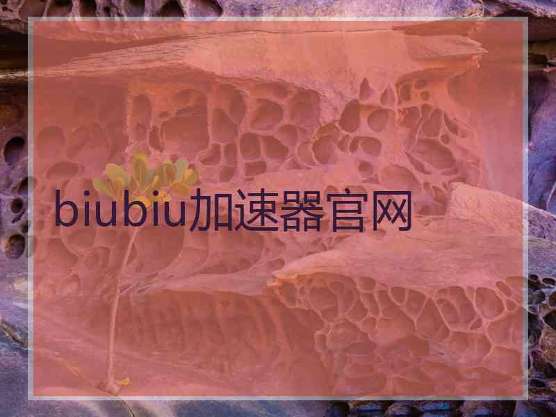 biubiu加速器官网