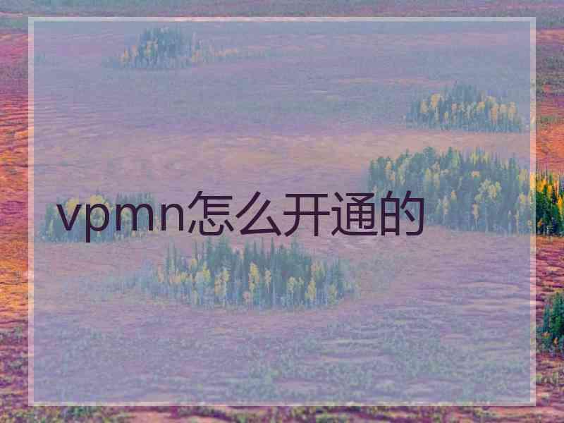 vpmn怎么开通的