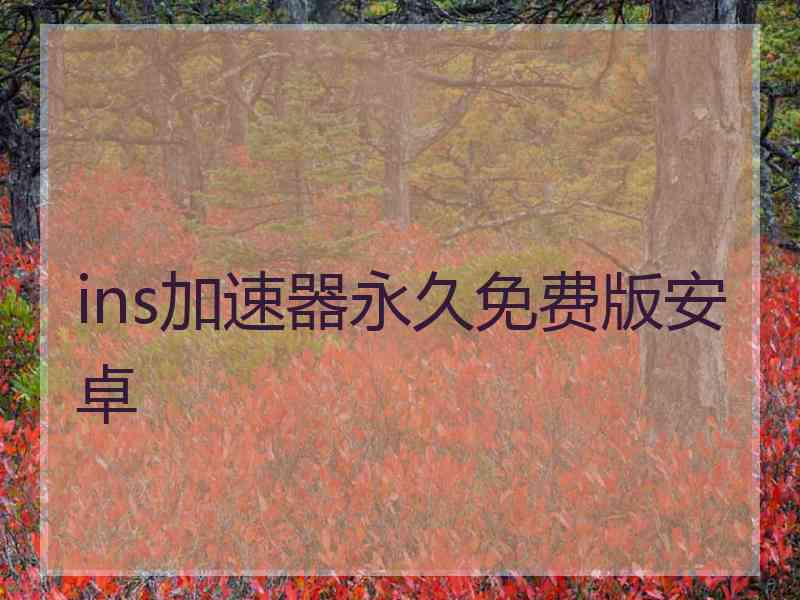 ins加速器永久免费版安卓