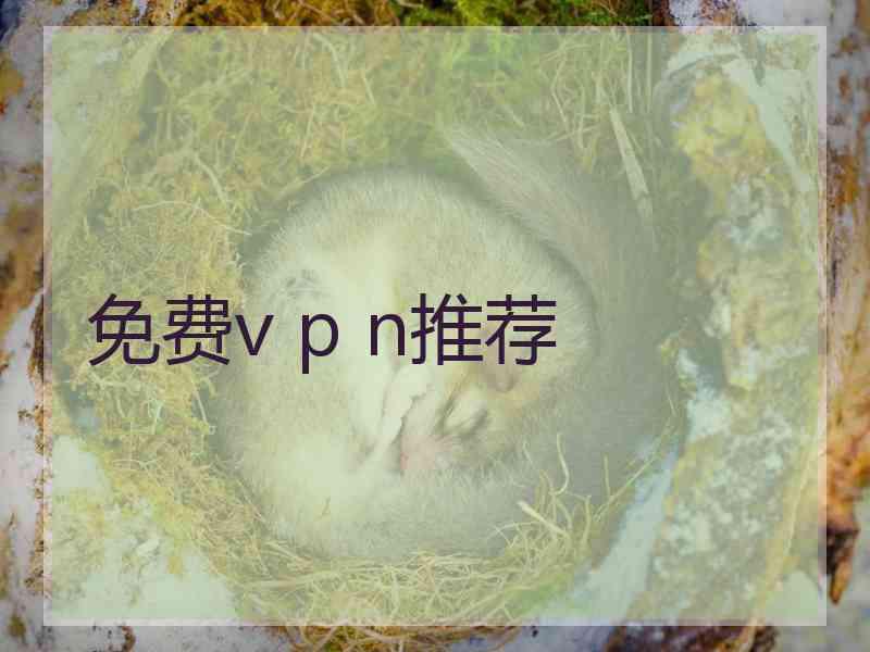 免费v p n推荐