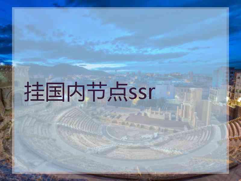 挂国内节点ssr