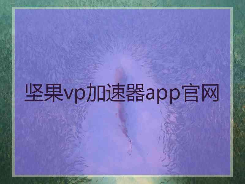 坚果vp加速器app官网