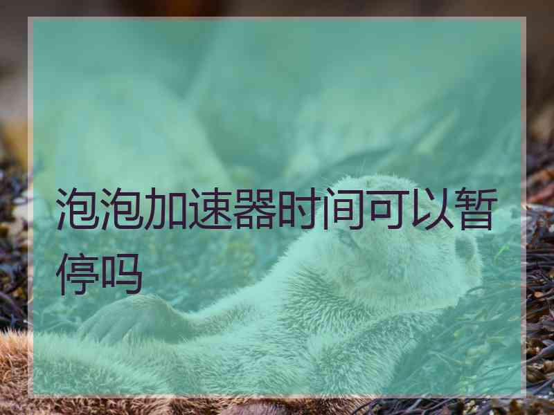 泡泡加速器时间可以暂停吗