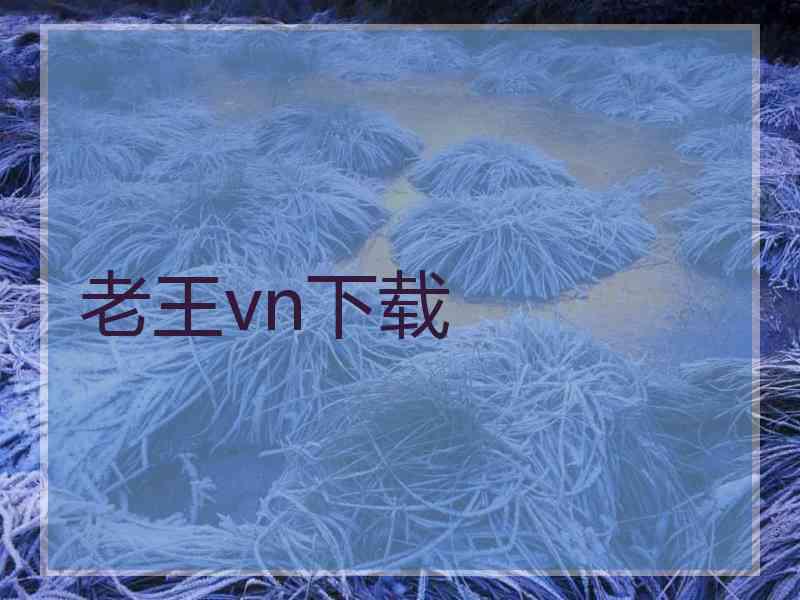 老王vn下载