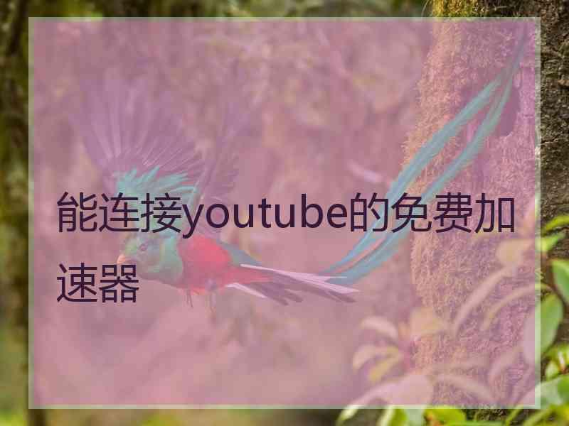 能连接youtube的免费加速器