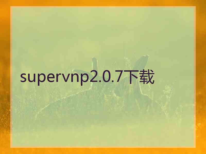 supervnp2.0.7下载