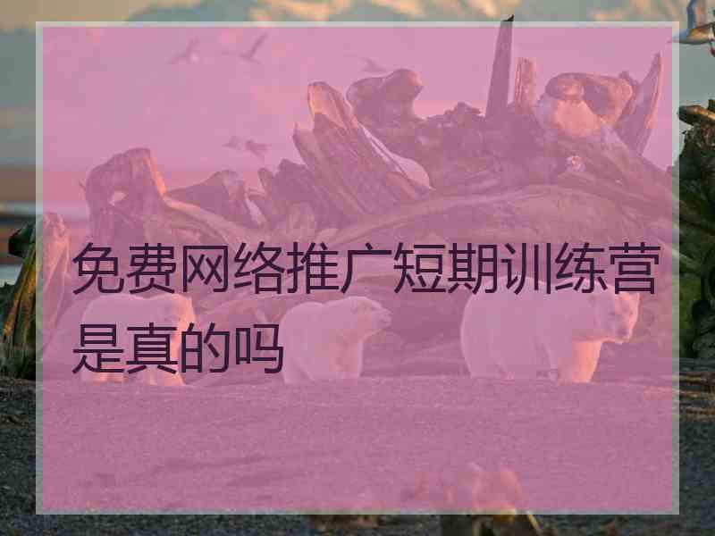 免费网络推广短期训练营是真的吗