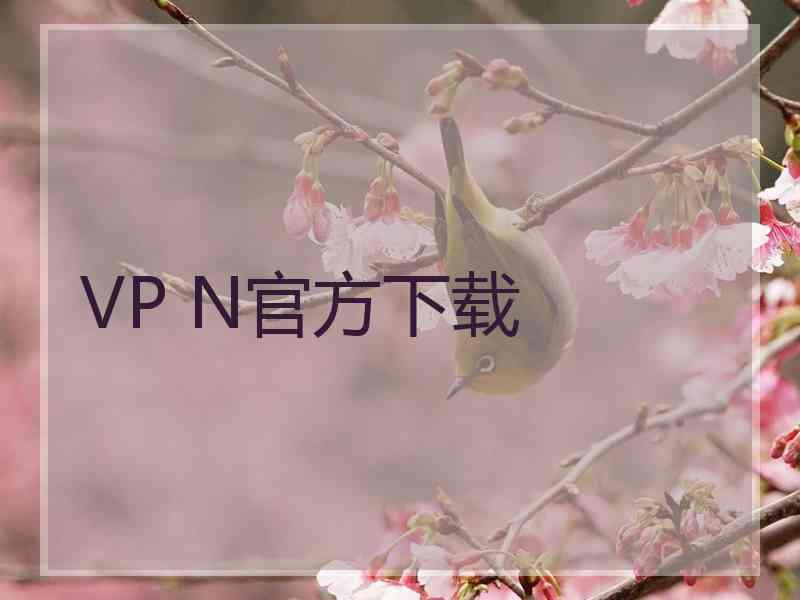 VP N官方下载