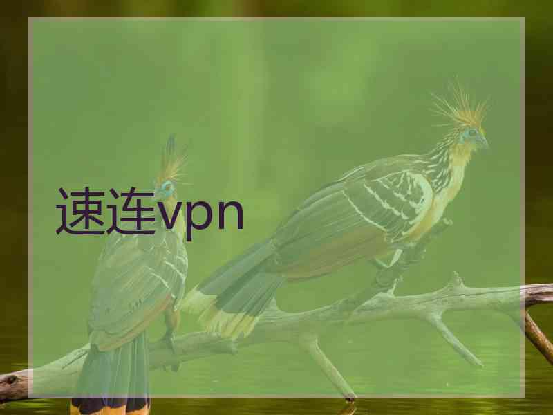 速连vpn