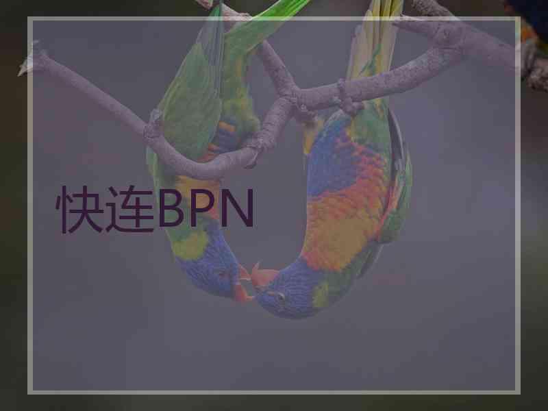 快连BPN