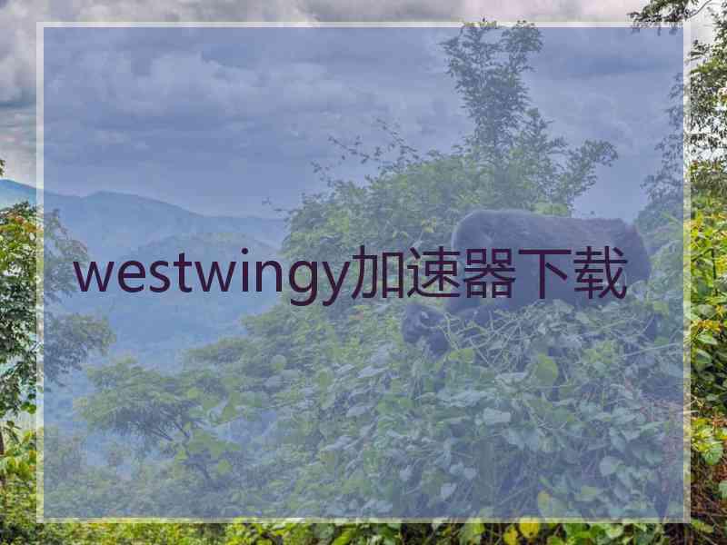 westwingy加速器下载