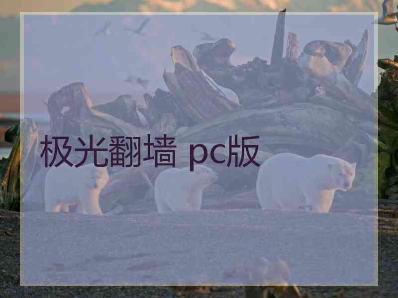 极光翻墙 pc版