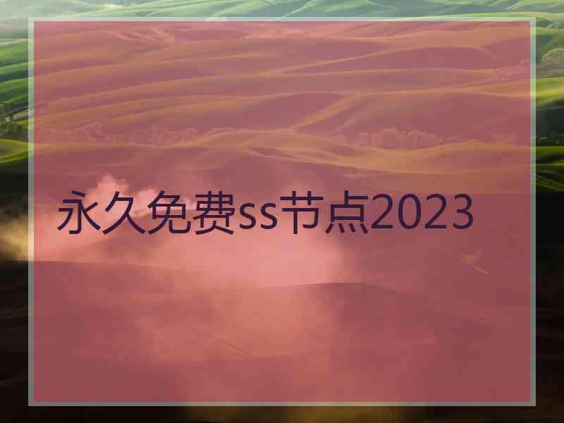 永久免费ss节点2023