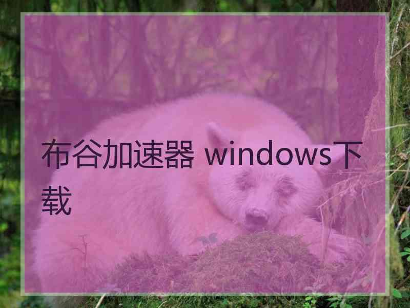 布谷加速器 windows下载