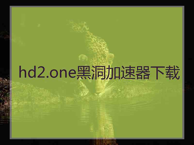 hd2.one黑洞加速器下载