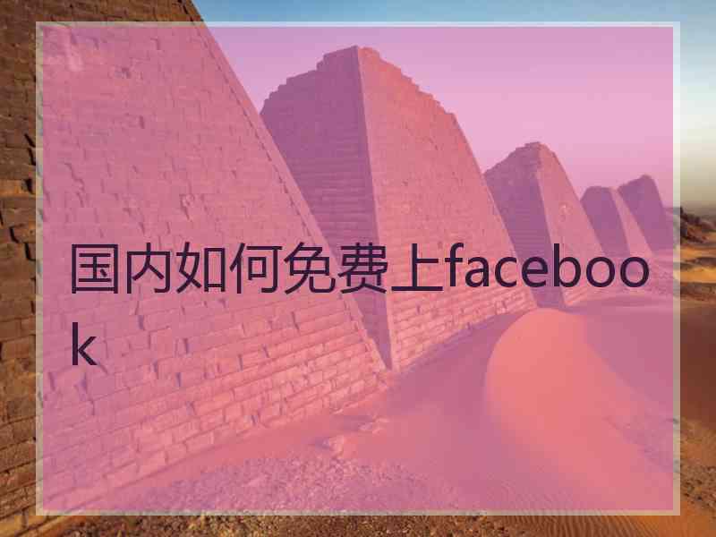 国内如何免费上facebook