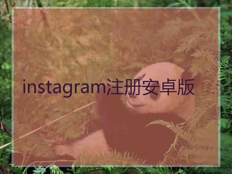 instagram注册安卓版