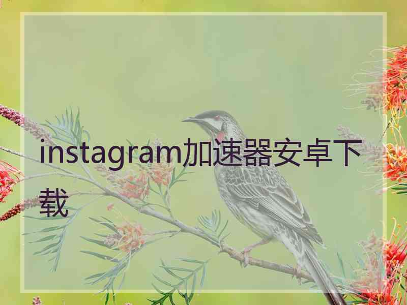 instagram加速器安卓下载