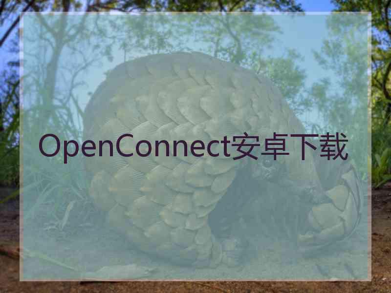 OpenConnect安卓下载