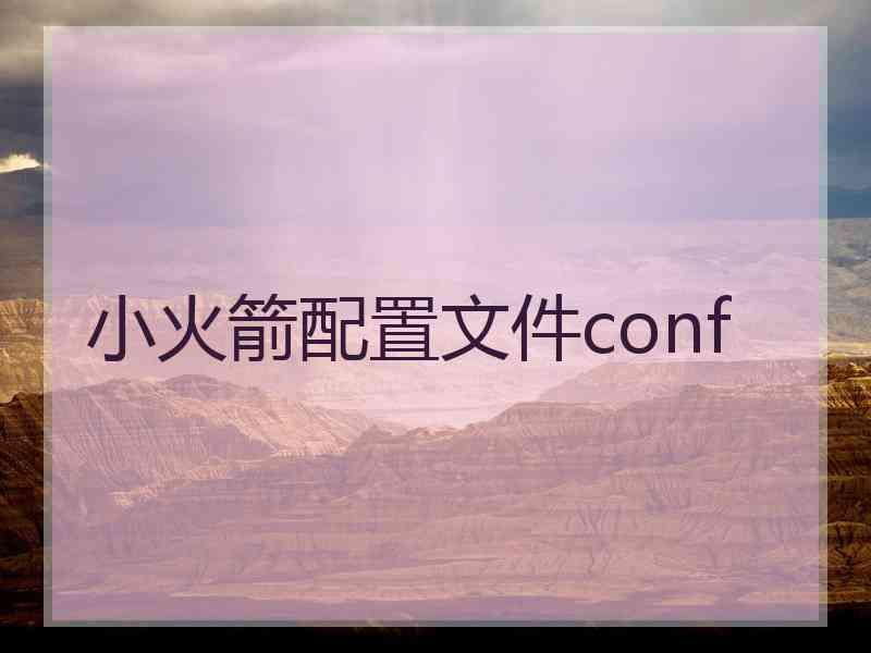 小火箭配置文件conf